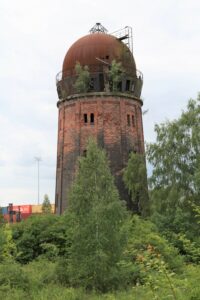 IMG_6924